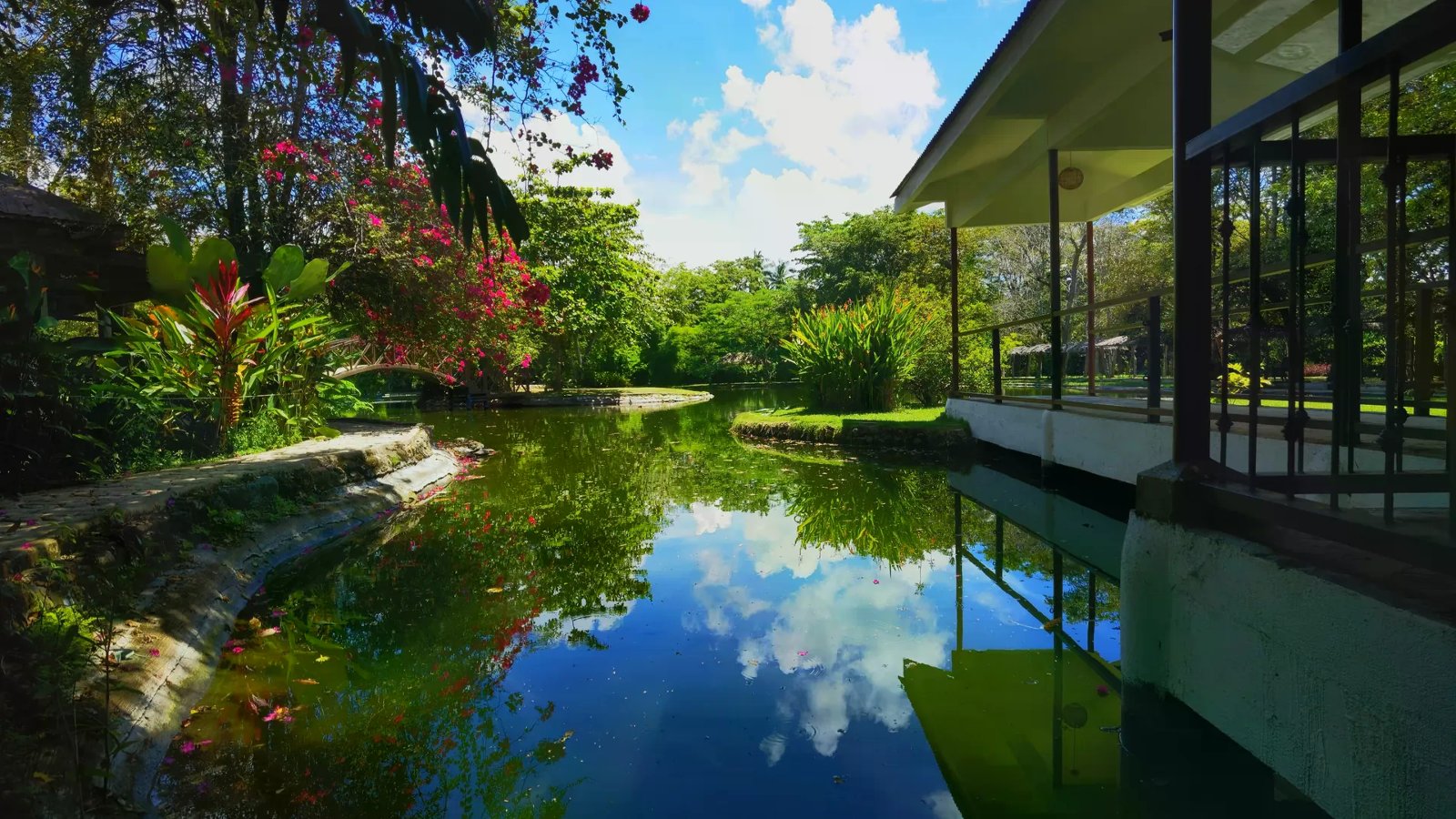 Still lagoon reflecting sky beside pink bougainvillea and a white pavilion at Cascades Nature Park.
