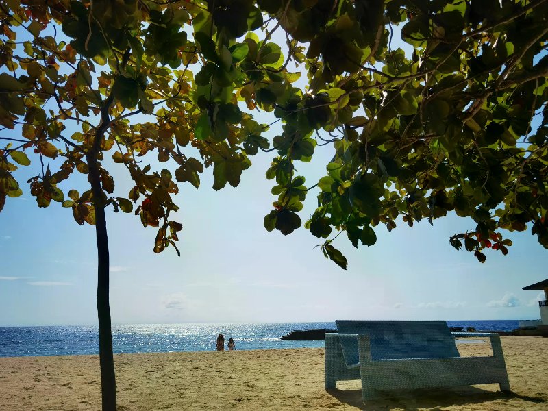 Blue wicker sofa on sandy beach framed by tropical leaves overlooking sparkling blue ocean.