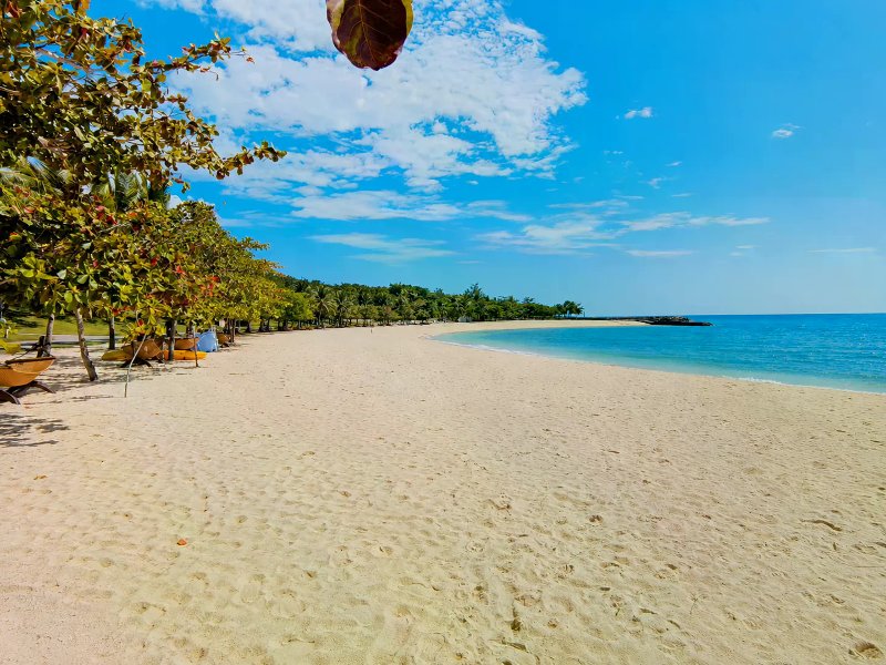 Wide crescent white-sand beach with turquoise water, trees, and yellow kayaks at El Mar.