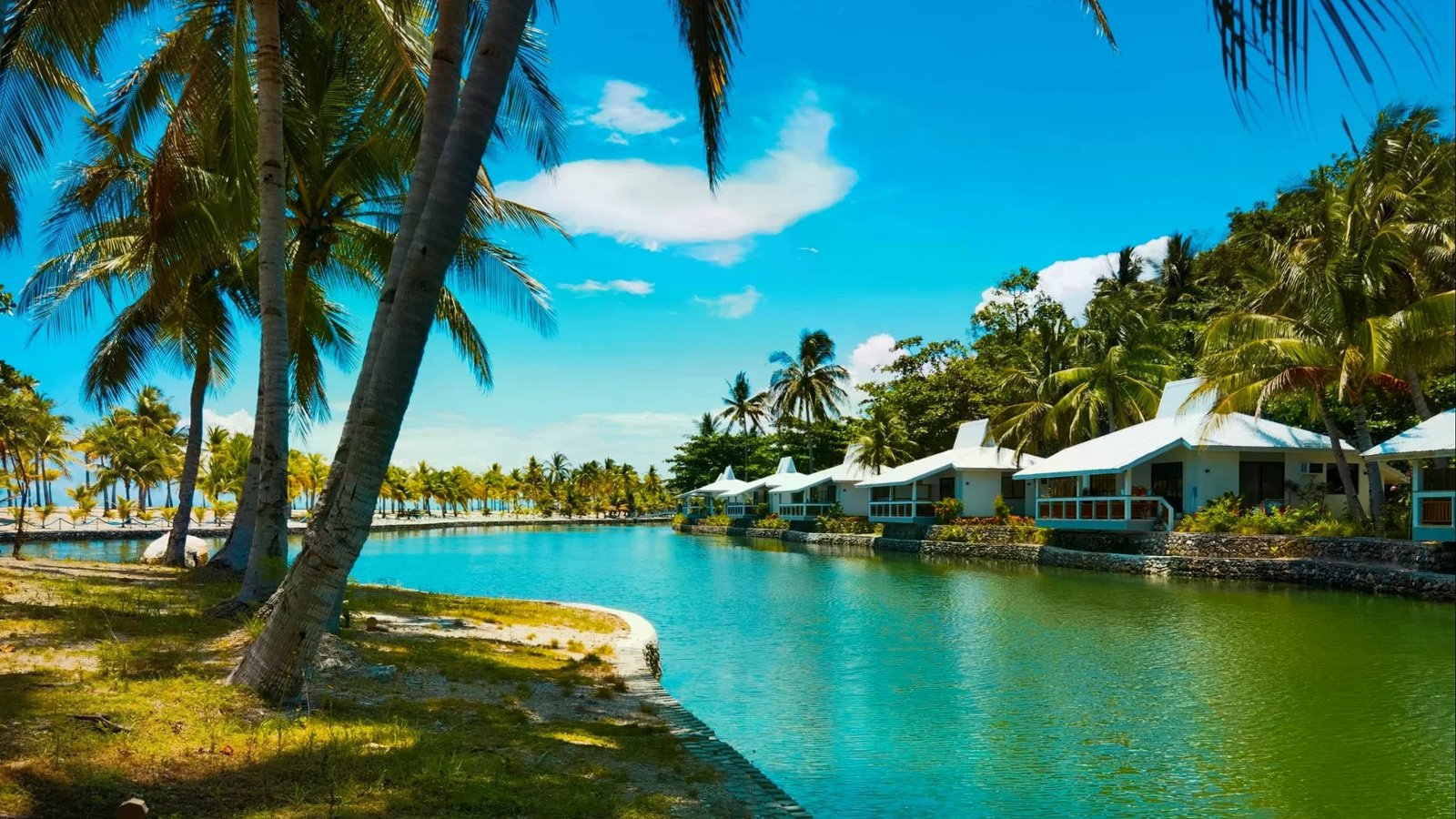 White waterfront cottages lining a calm turquoise lagoon framed by tall coconut palms.