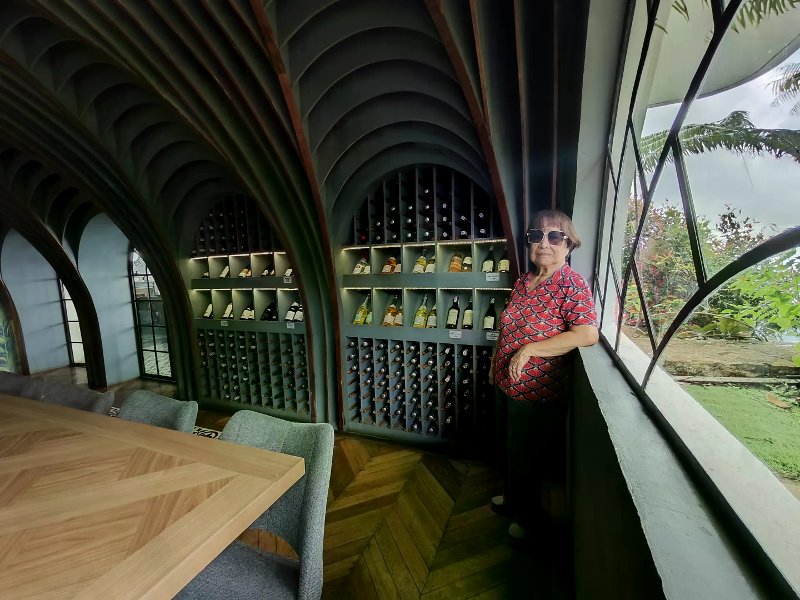 Vaulted wine-cellar dining room with backlit bottle racks and a mountain-view window.