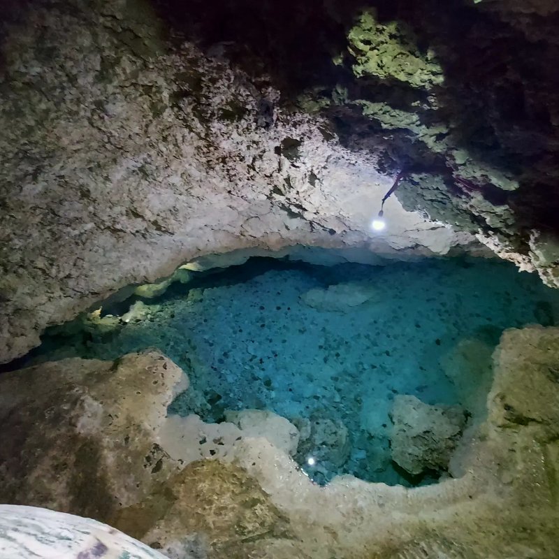 ライトアップされた石灰岩の天井と透き通ったエメラルド green の水中が 아름다운 パライソ洞窟の地下プール