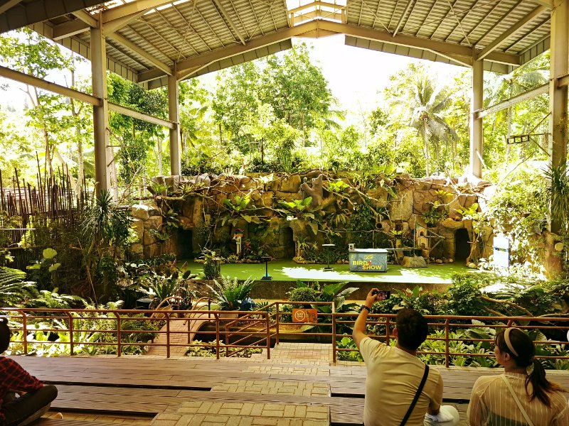 Covered bird show arena with tiered seating facing a green stage and tropical rock backdrop.