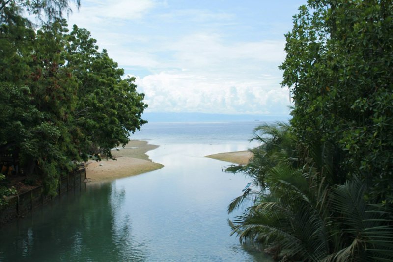 Calm river outlet meeting the sea surrounded by lush palm trees and greenery in Badian
