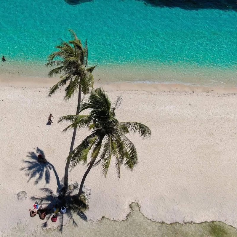 Aerial view of Malapascua Island's white sand beach with two distinct palm trees casting shadows toward clear turquoise ocean water.