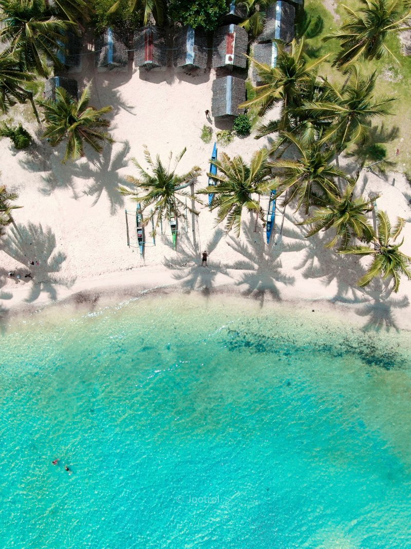 Aerial view of Maravilla Beach in Tabuelan with coconut palms, outrigger boats, and clear turquoise water.