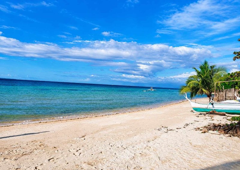 Sunny white sand Medellin Beach with turquoise clear water, palm trees, and a blue sky with light clouds.