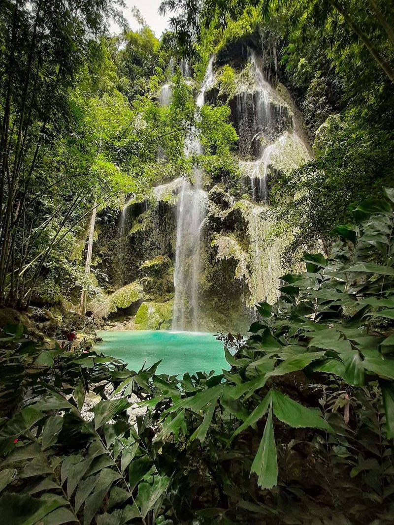 Wide view framed by dense green trees looking toward the turquoise pool and curtain-like cascades of Tumalog Falls in Oslob, Cebu.